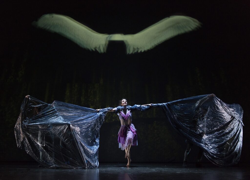 Cultura-El Lago de los Cisnes foto Pedro Arnay 3