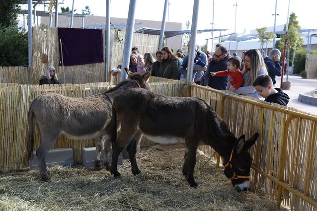 Habrá animales reales al igual que en 2019