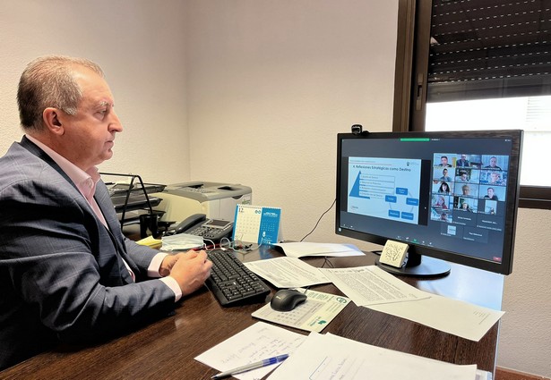 MESA TRABAJO ON LINE EXPERTOS SECTOR