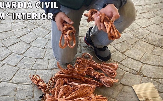 Sin título 5