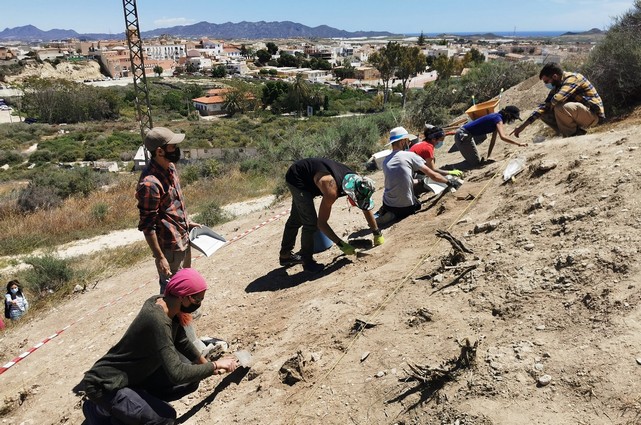 La imagen tiene un atributo ALT vacío; su nombre de archivo es Trabajo-Arqueologos-2.jpg