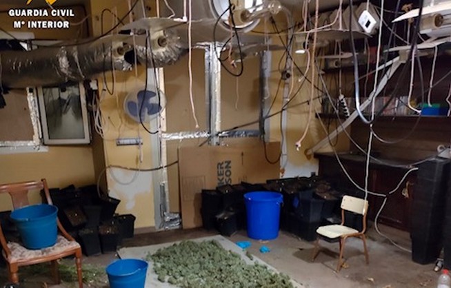 20220316 - DET1P CULTIVO MARIHUANA INDOOR VIATOR