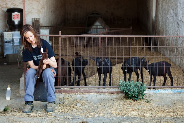 Cabrera en Guadix, Isabel López