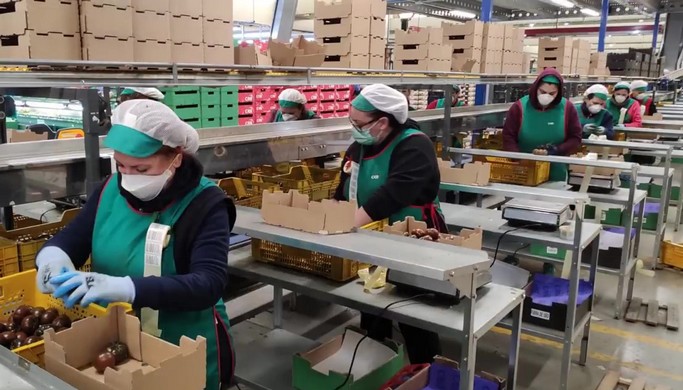 20220420_Uso mascarilla almacenes manipulado