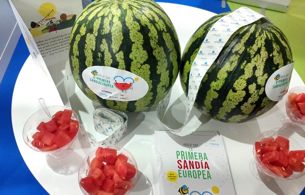 La imagen tiene un atributo ALT vacío; su nombre de archivo es 20220428_Presentacion-primera-sandia-europea-4.jpg