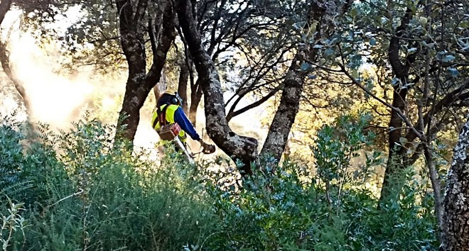 Trabajos preventivos Infoca 2