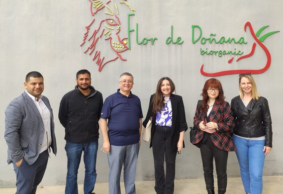 visita flor doñana