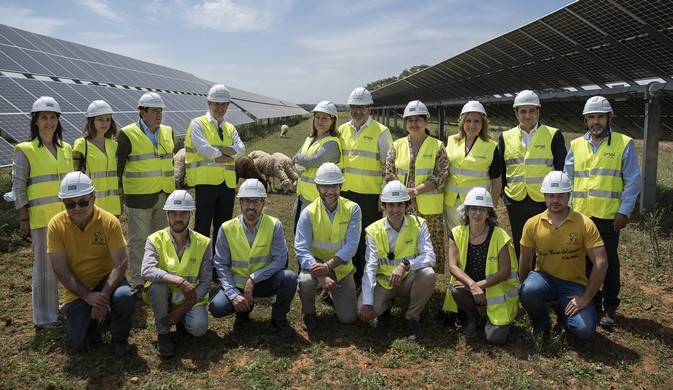 La imagen tiene un atributo ALT vacío; su nombre de archivo es 220514_Endesa-PLanta-Solar-Carmona-6.jpg