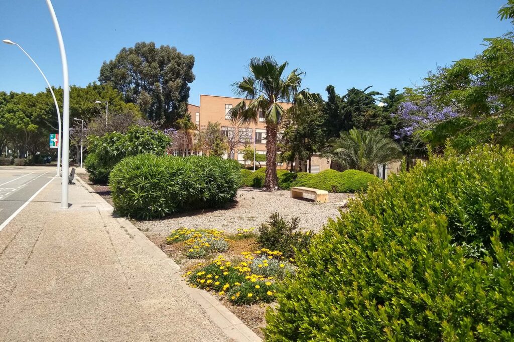 CURSO VERANO CIUDADES SOSTENIBLES