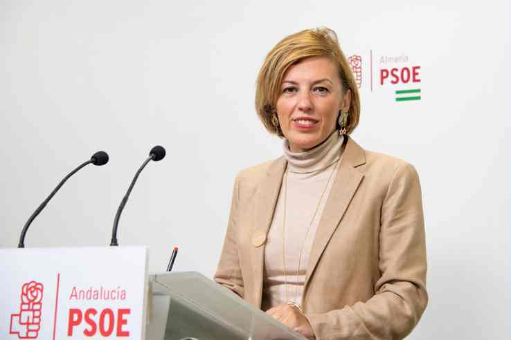 Sonia Ferrer Tesoro, diputada socialista