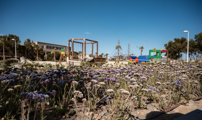 La imagen tiene un atributo ALT vacío; su nombre de archivo es 6-6-2022-Finalizacion-obras-ampliacion-Paseo-Maritimo-2.jpg