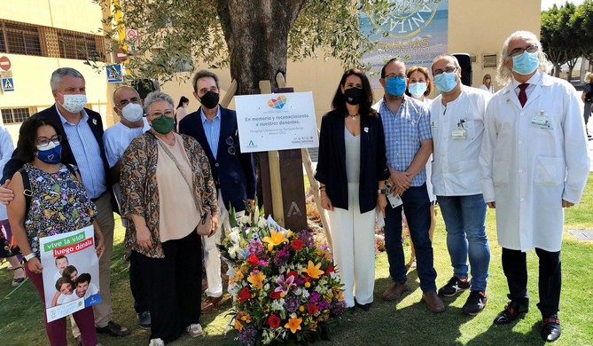 HUT DIA NACIONAL DONANTE ORGANOS 220601