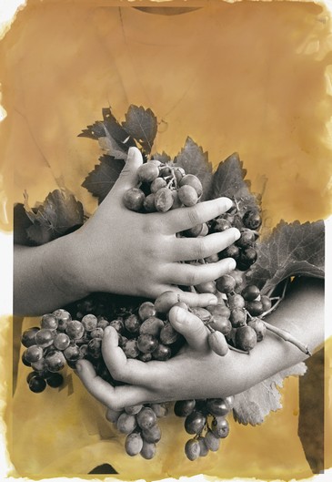 La imagen tiene un atributo ALT vacío; su nombre de archivo es Oukalele-02.jpg