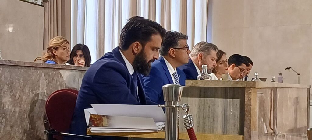 Vox en el pleno