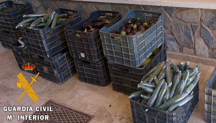 La imagen tiene un atributo ALT vacío; su nombre de archivo es 33.jpg