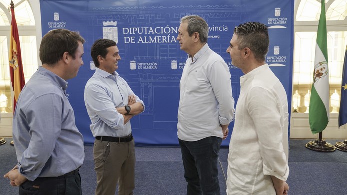 Diputación y Qvision (2)