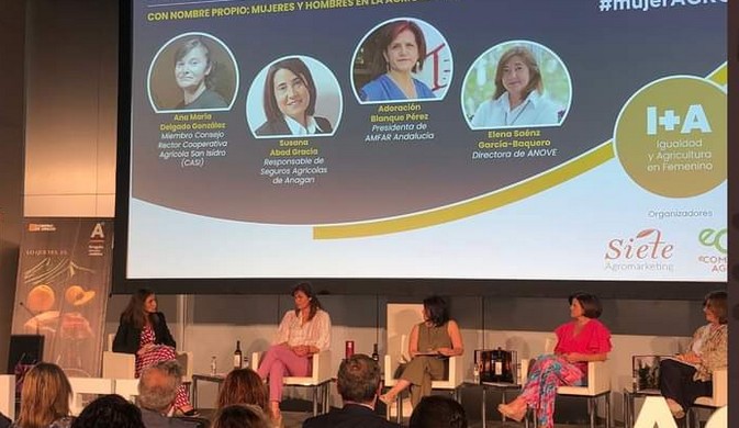 FB_IMG_1657124630274