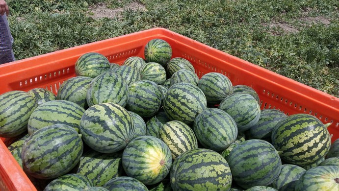 IMG_20220613_124900-1024x578