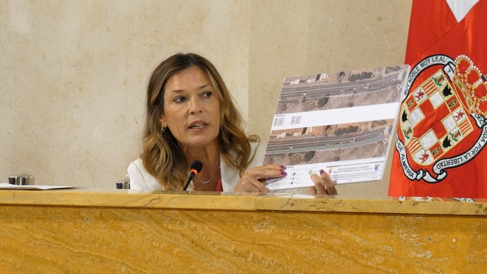 Pleno Ana Mejoras acerado Diezmo