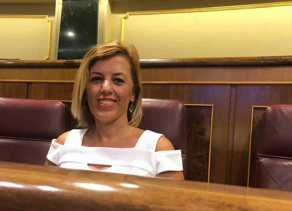 Sonia Ferrer Tesoro en el Congreso de los Diputados