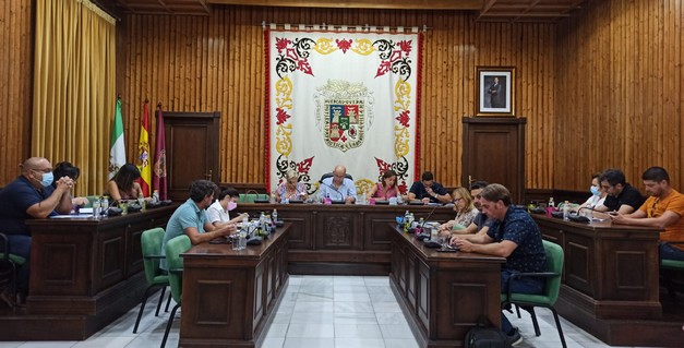 Un momento del Pleno