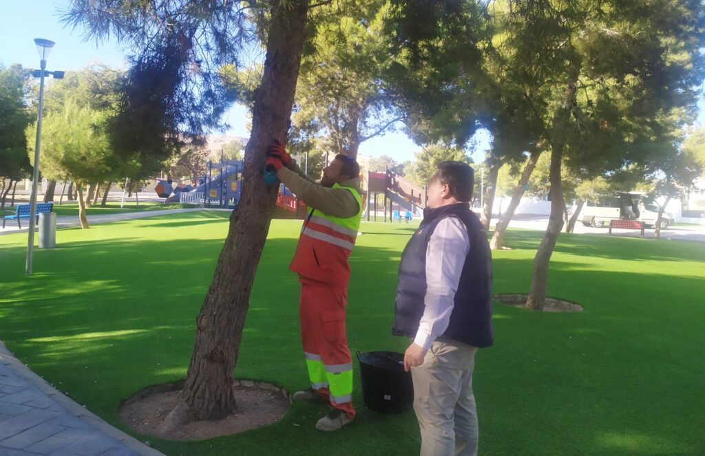 221129 Tratamiento de procesionaria