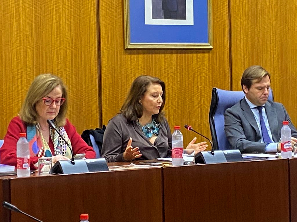 Crespo_comision parlamento