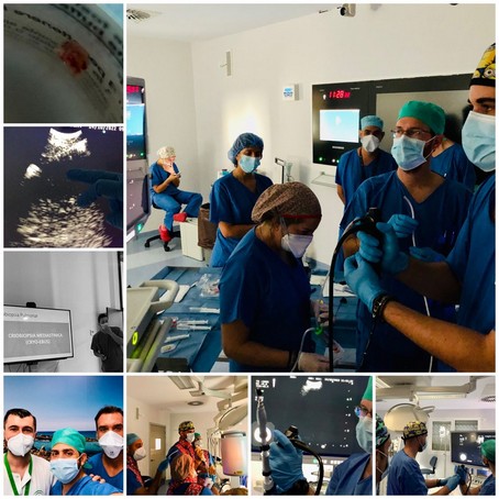 HUT CRYOEBUS NEUMOLOGIA 221116