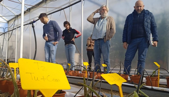 20221215_Reunion Comite Tecnicos Ornamental