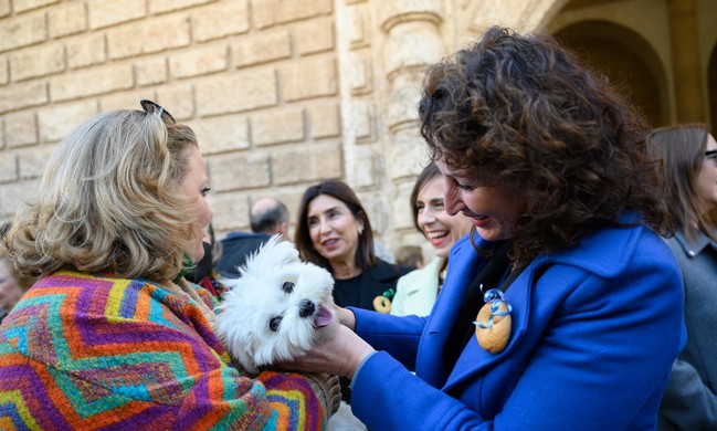 La imagen tiene un atributo ALT vacío; su nombre de archivo es 02.jpg