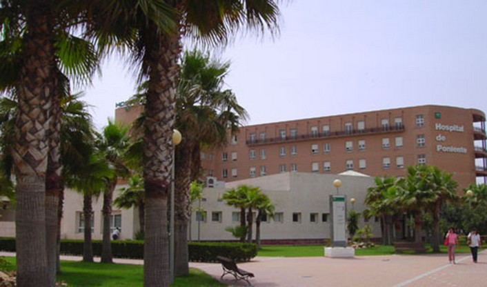 Sin título 4