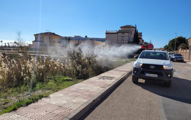 trabajos de mosquitos 1