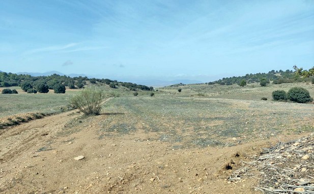 La imagen tiene un atributo ALT vacío; su nombre de archivo es 1.-zona-de-actuacion.jpg