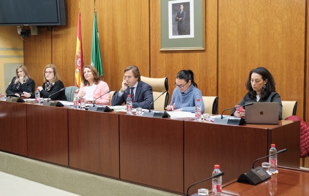 230215_comision parlamento 2