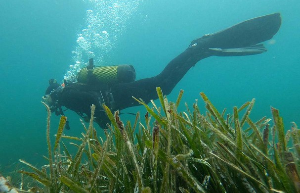 230217 Buceo