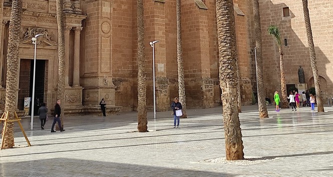 332953433_1239792510300806_6850013249914295272_n