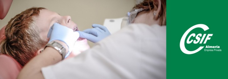 La imagen tiene un atributo ALT vacío; su nombre de archivo es Sin-titulo-6-26.jpg