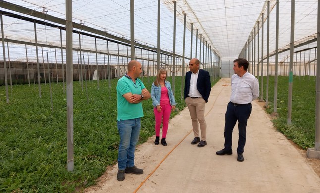 La imagen tiene un atributo ALT vacío; su nombre de archivo es 230413-Campana-no-cortes-en-verde.jpeg