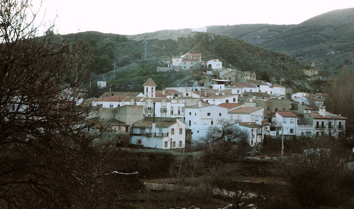 Sin título 15