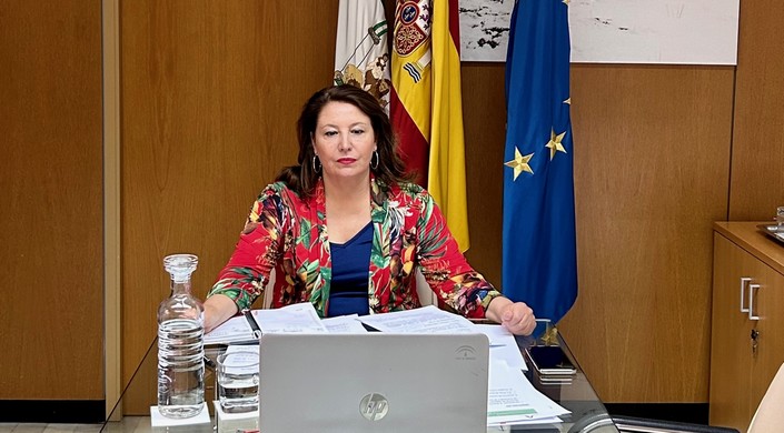 Conferencia sectorial