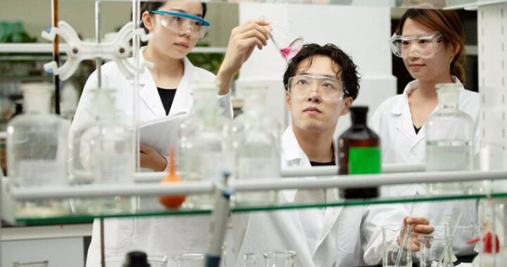 12/08/2023 COMUNICADO: Día Internacional de la Juventud 2023: Angel Yeast apoya el desarrollo sostenible del talento.

YICHANG, China, 12 de agosto de 2023 /PRNewswire/ -- El fabricante de levadura líder en el mundo, Angel Yeast (SH600298), celebra el 23º Día Internacional de la Juventud el 12 de agosto con el compromiso de proporcionar una plataforma líder y oportunidades para el desarrollo de la juventud y aumentar continuamente las inversiones para apoyar el crecimiento rápido y sostenible de los empleados jóvenes.

POLITICA 
ANGEL YEAST/PR NEWSWIRE