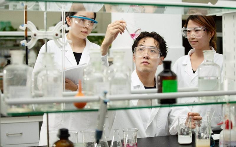 12/08/2023 COMUNICADO: Día Internacional de la Juventud 2023: Angel Yeast apoya el desarrollo sostenible del talento.

YICHANG, China, 12 de agosto de 2023 /PRNewswire/ -- El fabricante de levadura líder en el mundo, Angel Yeast (SH600298), celebra el 23º Día Internacional de la Juventud el 12 de agosto con el compromiso de proporcionar una plataforma líder y oportunidades para el desarrollo de la juventud y aumentar continuamente las inversiones para apoyar el crecimiento rápido y sostenible de los empleados jóvenes.

POLITICA 
ANGEL YEAST/PR NEWSWIRE