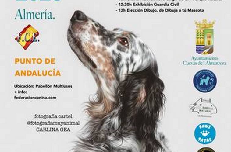 Concurso canino 1 octubre