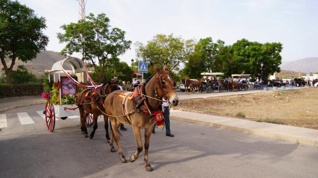 311015997_478950430940301_2692936320162984306_n