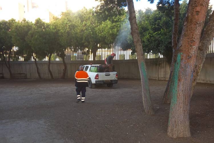 231123 Tratamiento procesionaria en centros escolares y zonas urbanas