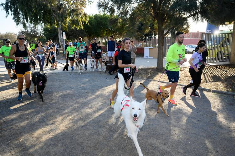 ALMANIMAL CARRERA006