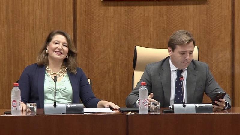 Carmen Crespo en la Comisión de Agricultura del Parlamento andaluz