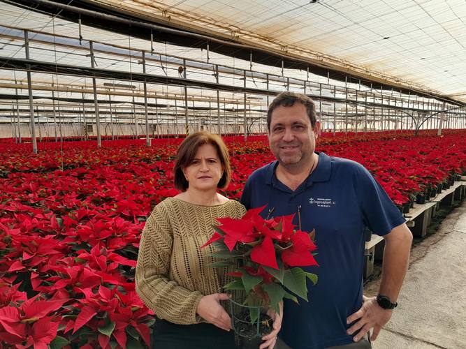 WhatsApp Image 2023-11-28 at 11.04.24 (1)