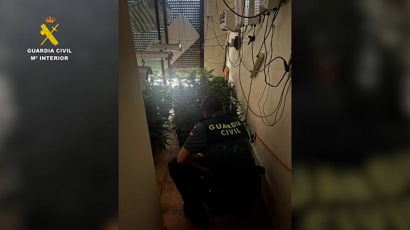 plantacion_marihuana_almeria_editada_09