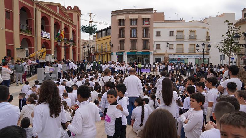 previo Dia eliminacion Violencia de Genero Berja 2023